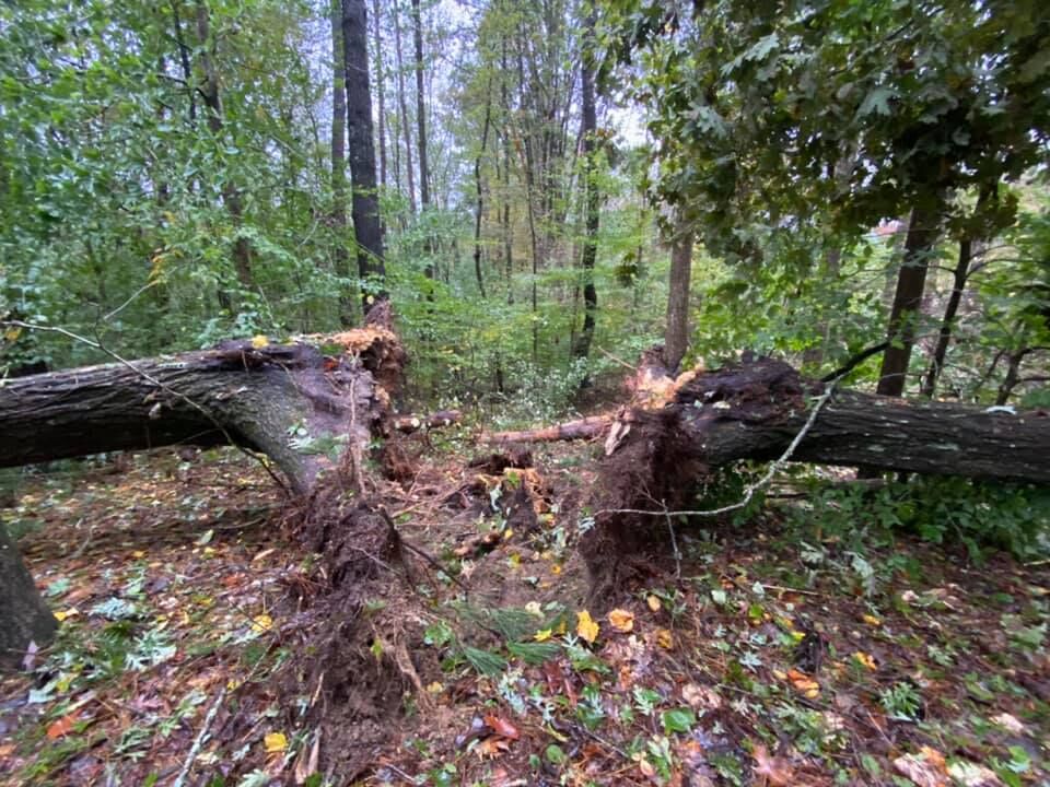 Tropical_Storm_Zeta2.jpg